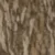 Bottomland