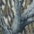 Mossy Oak Camo