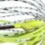 Black Back Chartreuse