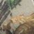 Realtree Xtra