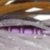 Wakasagi