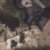 Mossy Oak Droptine