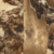 Excape
