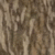 Bottomland