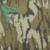 Greenleaf