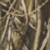 Max7