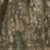 Timber