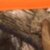 Blaze Orange/Realtree Edge