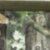 Mossy Oak Obsession/Olive