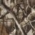 Realtree Edge