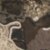 Realtree Excape