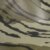 Mossy Oak Bottomlands Camo