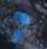 Black Blue Green Pumpkin