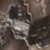 Realtree Excape