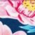 Pink Bloom