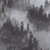 Charcoal Foggy Pines