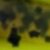 Green Pumpkin Chartreuse