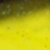 Chartreuse Shad