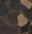 Classic Camo (Timber)