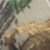 Realtree Xtra