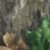 Mossy Oak Obsession