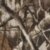 Realtree Edge