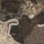 Realtree Excape