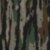 Realtree Original