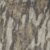 Mossy Oak Bottomland