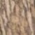 Bottomland