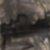 Realtree Timber