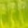 Chartreuse