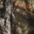 Mossy Oak Break-Up Country