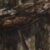 Mossy Oak Country DNA