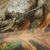 Realtree Edge