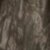 Bottomland